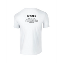 Load image into Gallery viewer, Gildan Adult Softstyle® T-Shirt
